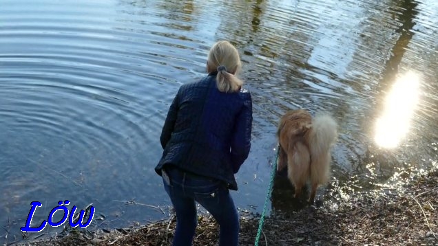 7.11.2021 - Auch Aria testet das Wasser